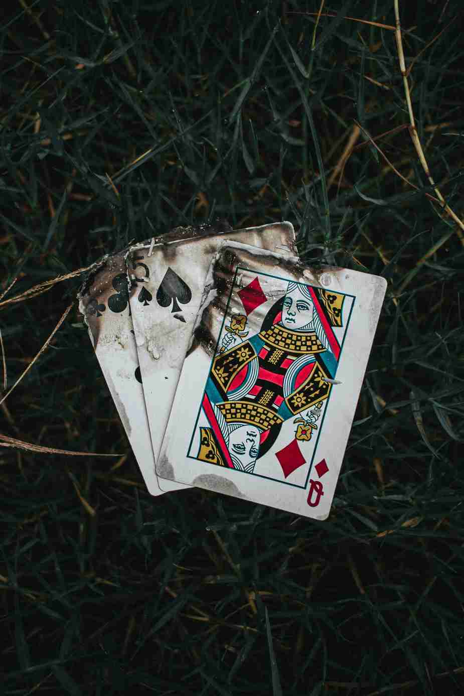 Modello per la Registrazione a Fatbet Casino: Guida Completa e Facile