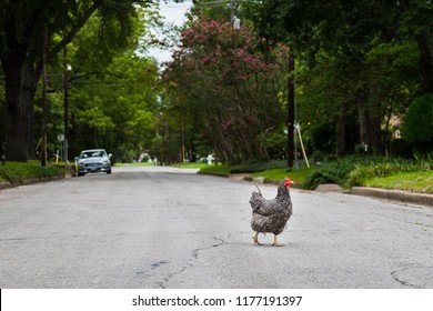 Descubre la Experiencia de Juego en Chicken Road Casino Oficial en España, chicken road juego oficial